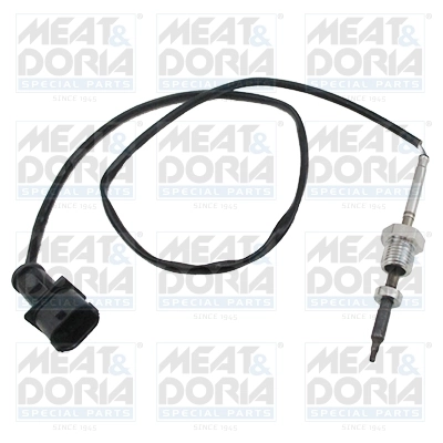 Sensor, exhaust gas temperature